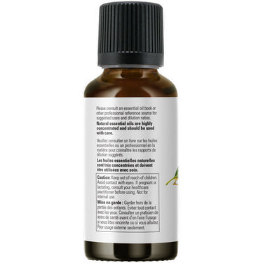 Eucalyptus Radiata Oil 30 Ml by Now