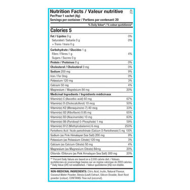 ANS Performance, Vion Plus Hydration Mix Blue Raspberry, 20 Pack