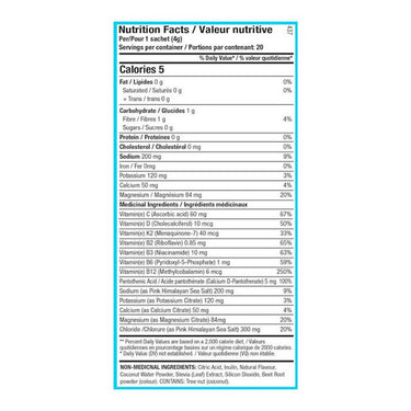 ANS Performance, Vion Plus Hydration Mix Peach Mango, 20 Pack