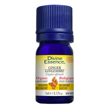 Organic Essential Oil Ginger 5 Ml by Divine Essence