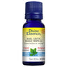 Basil-Exotic Essential Oil Organic 15 Ml by Divine Essence