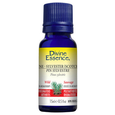 Organic Pine Sylvestre Scotch Wild Essentil Oil 15 Ml by Divine Essence