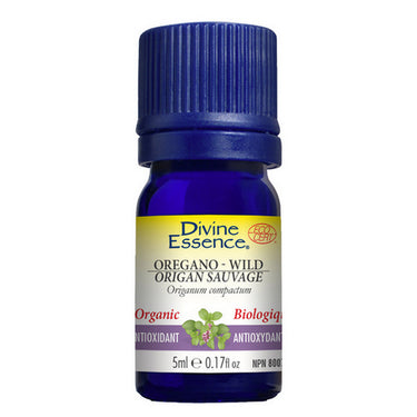 Organic Essential Oil Oregano Wild 5 Ml by Divine Essence