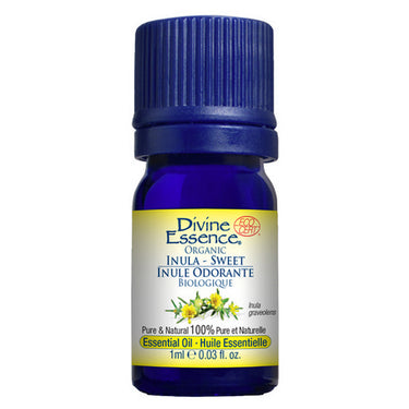 Divine Essence, Organic Essential Oil Inula Sweet, 1 Ml