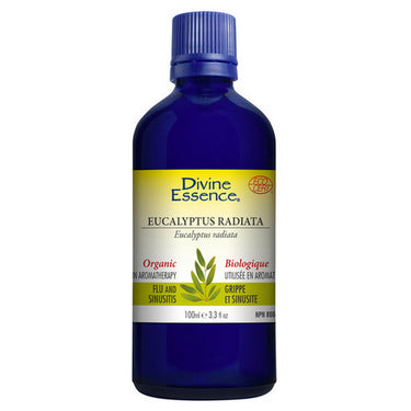 Organic Essential Oil Eucalyptus Radiata 100 Ml by Divine Essence