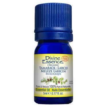 Organic Essential Oil Larch Tamarack 5 Ml by Divine Essence
