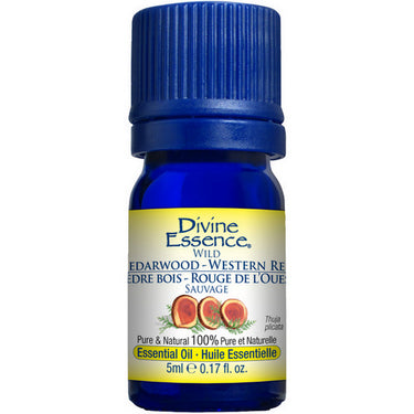 Wild Cedarwood Western Red Essential Oil 5 Ml by Divine Essence