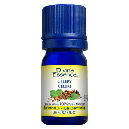 Celery Conventional Essential Oil 5 Ml by Divine Essence
