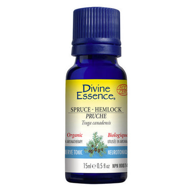 Organic Essential Oil Spruce Hemlock 15 Ml by Divine Essence