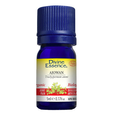 Organic Ajowan Essential Oil 5 Ml by Divine Essence