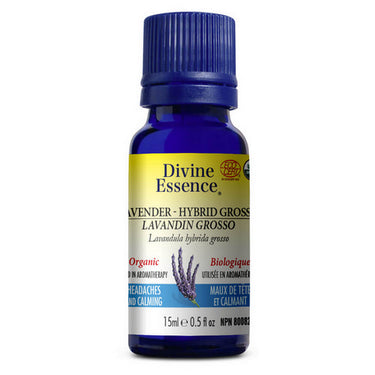 Organic Essential Oil Lavander Hybrid Grosso 15 Ml by Divine Essence