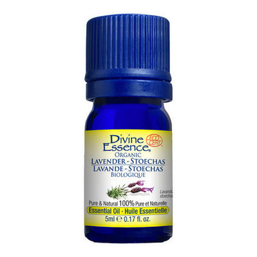 Organic Essential Oil Lavender Stoechas 5 Ml by Divine Essence