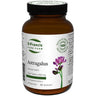 Astragalus Capsules 60 Caps by St. Francis Herb Farm Inc.