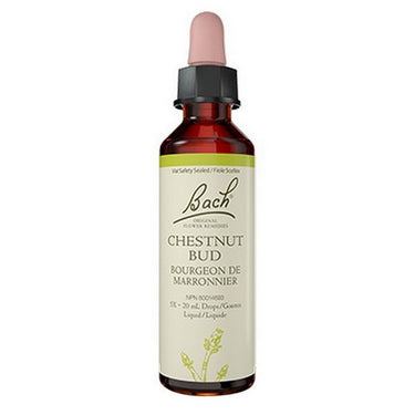Chestnut Bud 20 ML by Bach