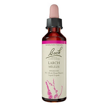 Larch 20 ML by Bach