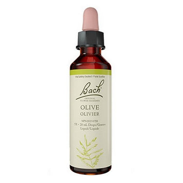 Olive 20 ML by Bach