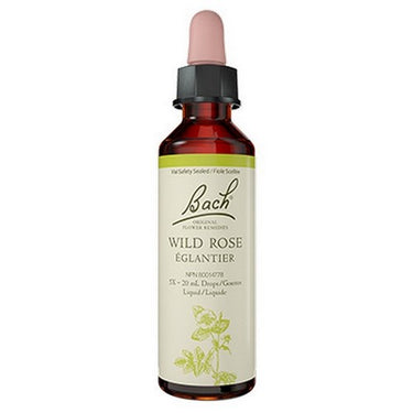 Wild Rose 20 ML by Bach
