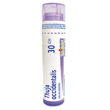 Thuja Occidentalis 30 ch 80 Pellets  by Boiron