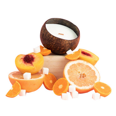 The Future Is Bamboo, Sugar Bloom Coco-Candle, 1 Count