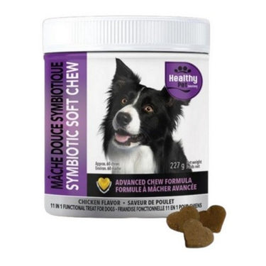 Symbiotic Soft Chews 227 Grams by Healthy Pet