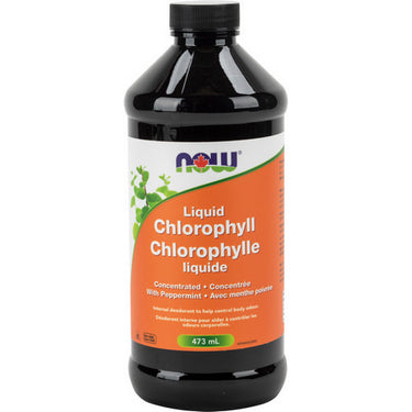 Now, Chlorophyll Liquid + Mint, 473 Ml