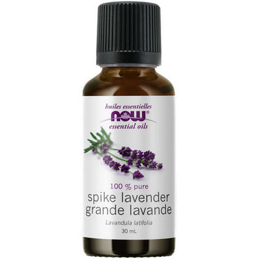 Spike Lavender Oil 30 Ml by Now