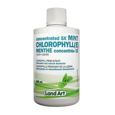 Chlorophyll (e) Concentrate 5x Mint 500 Ml by Land Art