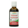 Echinacea Purpurea Tincture 50 Ml by Precision