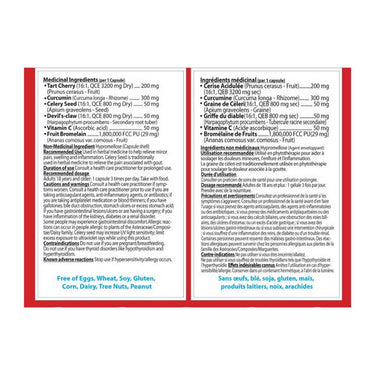 Nutridom, Gout Art, 60 Vegetarain Capsules