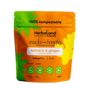 Herbaland, Ginger And Turmeric Snacks, 240 Grams (6 Count)