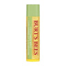 Natural Moisturising Lip Balm Cucumber Mint 4.25 Grams by Burt's Bees