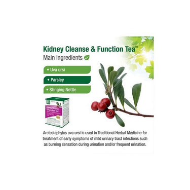 Bell Lifestyle, Kidney Cleanse Function Tea, 4.2 Oz