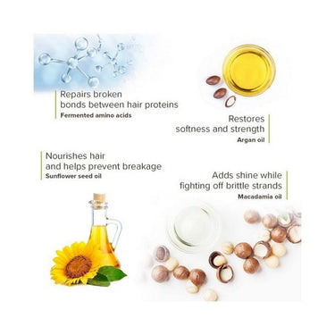 Macadamia, Natural Oil Bond Repair Masque, 8 Oz (Case Of 6)