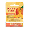 Sweet Pea Blister Box Lip Balm 4.25 Grams (Case Of 6) by Burt's Bees