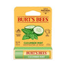 Cucumber Mint Lip Balm 4.25 Grams (Case Of 6) by Burt's Bees