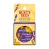 Lip Butter Lavender And Honey Blister Box 11.3 Grams (Case Of 6) by Burt's Bees