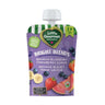 Organic Banana Blueberry Strawberry Guava Puree Bright Blends 113 Ml (Case Of 12) by Baby Gourmet